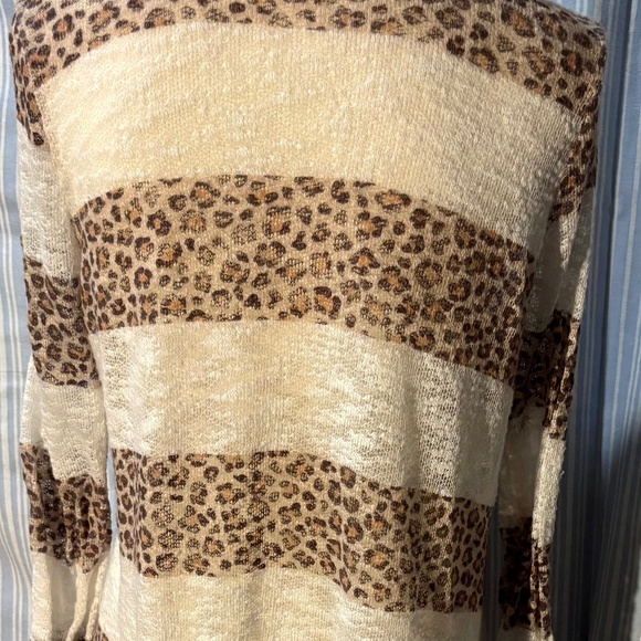 Animal Print Striped Cardigan - Picture 2 of 5